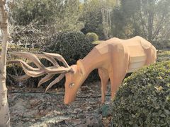 -南宫五洲植物乐园