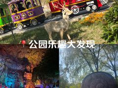 -太阳部落
