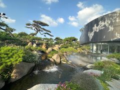 -罗红摄影艺术馆