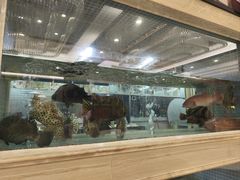 -龙禧渔村酒楼