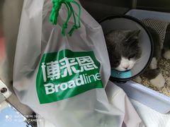 -宠颐生宠物医院外科·内科·皮肤科·影像科(石龙店)