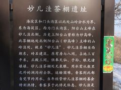 -阳台山自然风景区