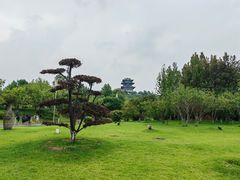 -八方后身麻辣鸡块(总店)