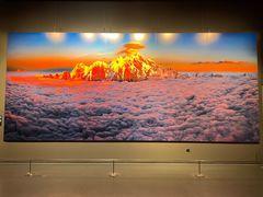 -罗红摄影艺术馆