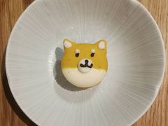 -柴务处·柴犬主题狗咖