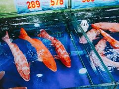 -东江海鲜酒家(艺都分店)