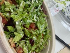 -油梨树 AVOCADO TREE(亮马桥店)