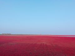 -红海滩国家风景廊道