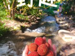 -中国茶叶博物馆(双峰馆区)
