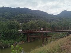 -羚羊峡古栈道森林公园