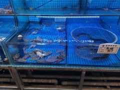 -前王院•巧克力海鲜市集餐厅(万平口店)