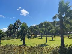 -普陀山慧济禅寺