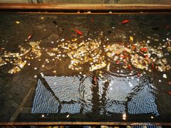 -四季民福烤鸭店(前门店)