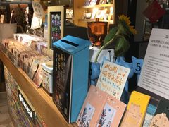 -猫的天空之城概念书店(苏州诚品店)
