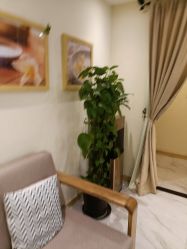 -芳朵美容养生SPA