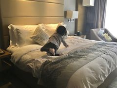 -佛山顺德金茂华美达广场大酒店