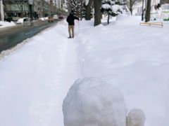 -札幌电视塔