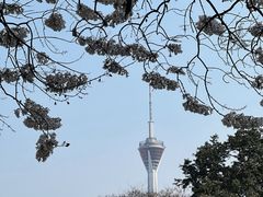 -红星桥(地铁站)