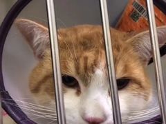 -瑞鹏宠物医院·爱宠堂(环西分院)