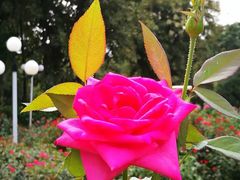 -人民公园(罗湖区)