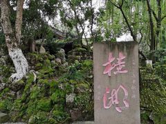 -桂湖森林公园