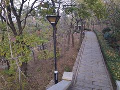 -观象山公园