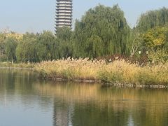 -西海子公园