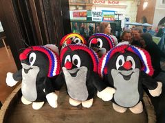 -布拉格餐厅· 中欧捷克菜(全国首店)