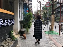 -泡桐树街