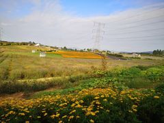 -紫颐香薰山谷景区