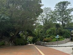 -九龙公园