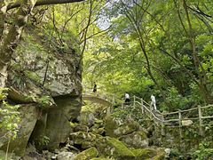 -西安祥峪森林公园