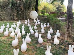 -森波拉火山温泉