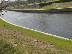 -丁香湖公园