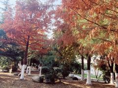 -江南大学(蠡湖校区)