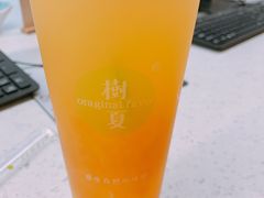 -树夏(鹭洲里店)