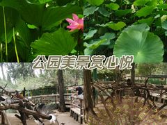 -北京动物园