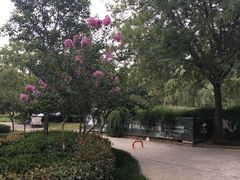 -思念果岭悦温泉