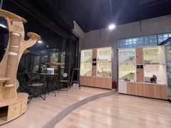 -十年猫舍·猫咪专门店(普陀店)