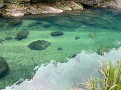 -石台牯牛降景区
