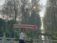 -合肥滨湖国家森林公园