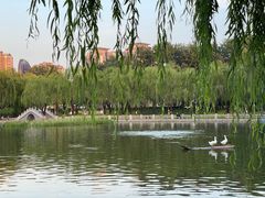 -中国农业博物馆