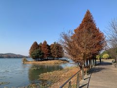 -渤公岛生态公园
