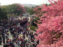 -广州大学华软软件学院新闻中心