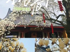 -杭州上天竺法喜讲寺