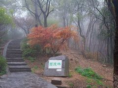 -岳麓山风景名胜区