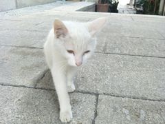 -荔湾湖公园