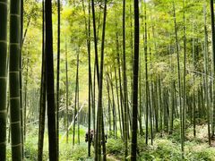 -东明山森林公园
