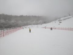 -太子岭滑雪场