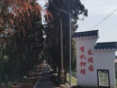 -上海长兴岛郊野公园